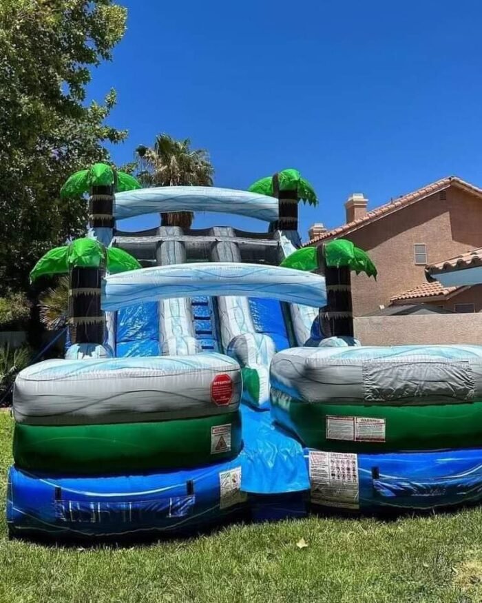 25ft Arctic Tropic Dual Lane Waterslide
